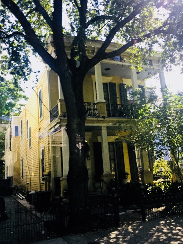 A1DA9F43-68C6-4ED8-B9C5-242B34B01B9F