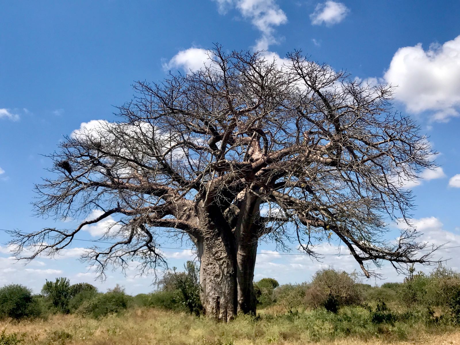 A4CD5A10-09E2-441E-9246-3B1D6A7FDAA6