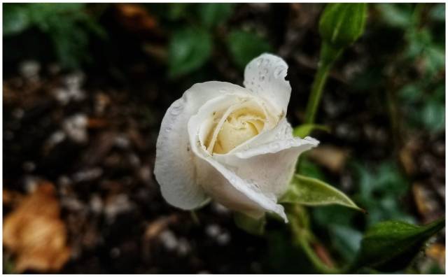 4A28A1C6-1B9E-4B6D-843C-5EE320B93CCB