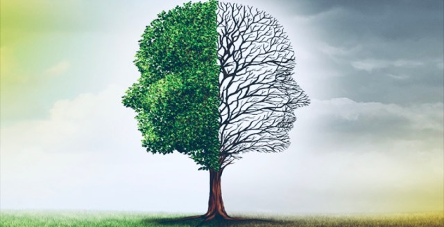 55C2FCEA-2D15-46F5-88F7-9A9A70885EC3